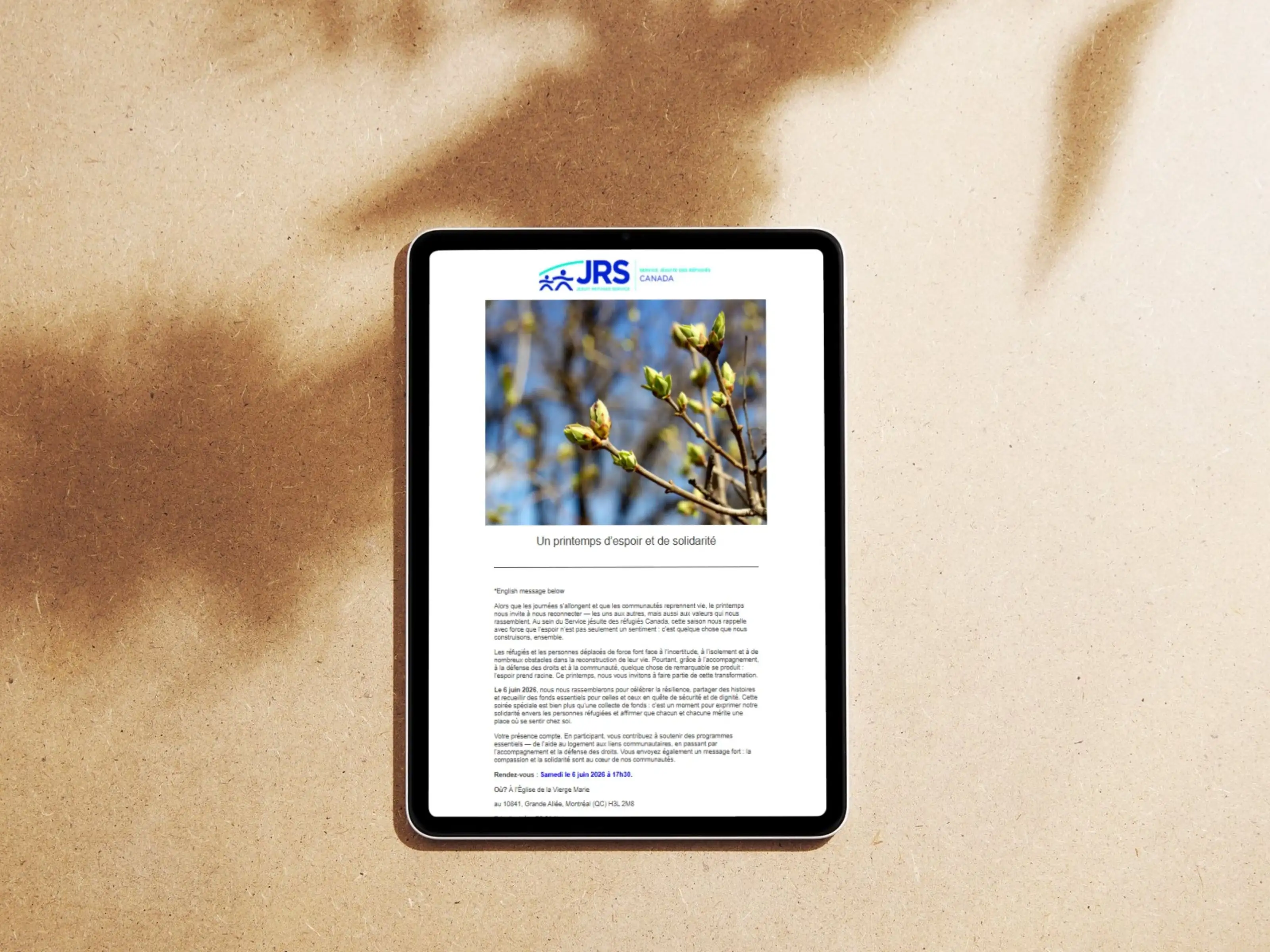 Sigma Website Page 2
